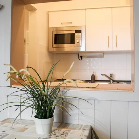 Apartment Haus Elisebeth Whg. 3 *